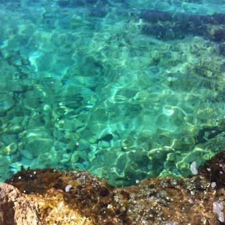 Paradise