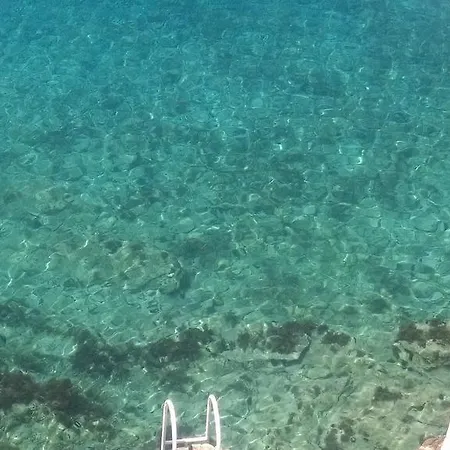 Paradise ザヴァラティサ
